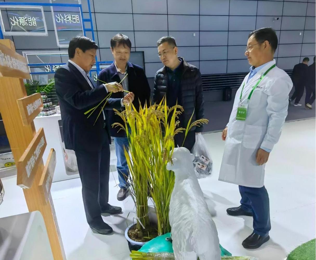 圖片4.png 圖片4.png